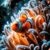 Clownfish Cosmic Anemone | Metal Poster