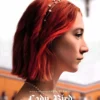 Lady Bird | Metal Poster