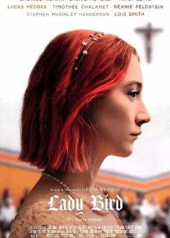 Lady Bird | Metal Poster