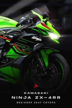 Kawasaki Ninja ZX 4RR Sports Bike | Cars & Bikes Posters | Metal Posters | Wall Art