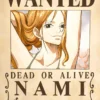 Nami Wanted – One Piece | Anime | Metal Poster | Wall Art