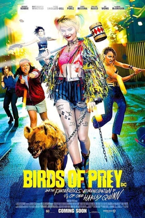 Birds Of Prey (Harley Quinn) | Movies Posters | Metal Posters | Wall Art