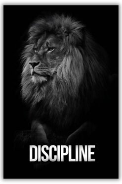 Discipline metal poster wall art in Pakistan