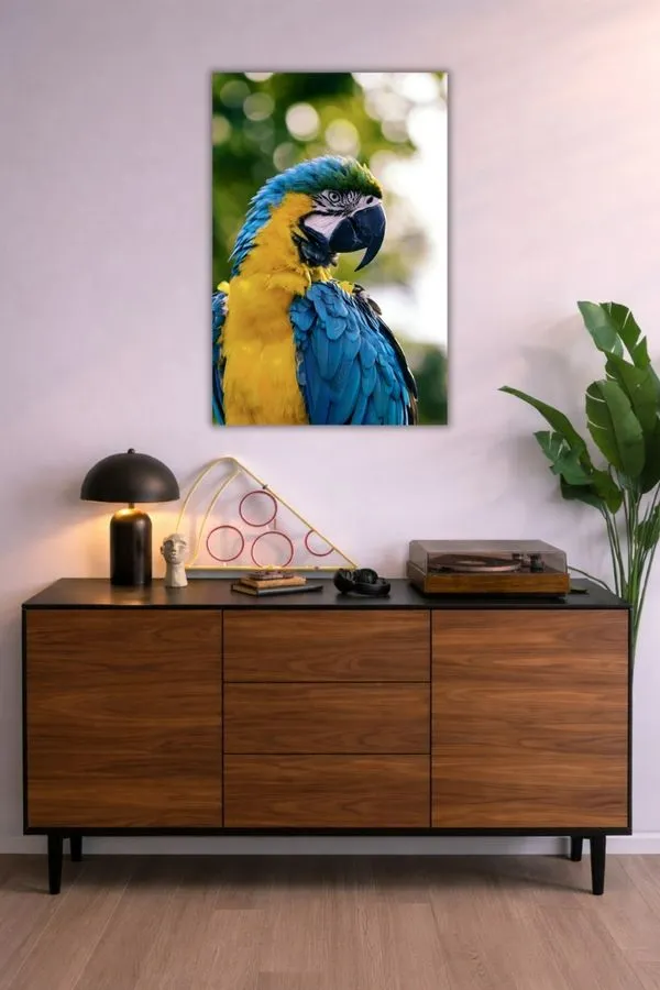 Blue And Yellow Macaw metal posters animal wall art wall art in Pakistan