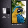 Blue And Yellow Macaw metal posters animal wall art wall art in Pakistan