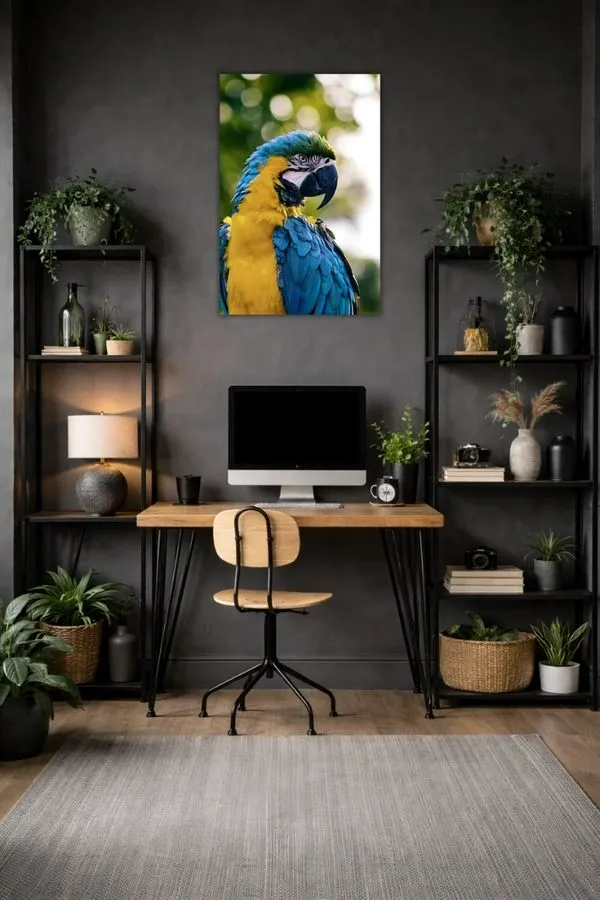 Blue And Yellow Macaw metal posters animal wall art wall art in Pakistan