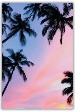 California Palm metal posters landscape posters wall art in Pakistan