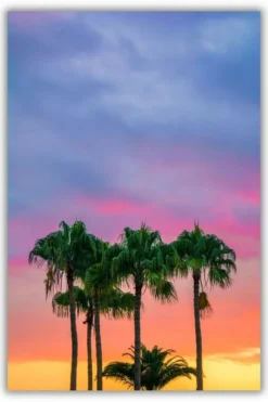 California Palm metal posters landscape posters wall art in Pakistan
