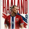 Erling Haaland metal poster wall art in Pakistan