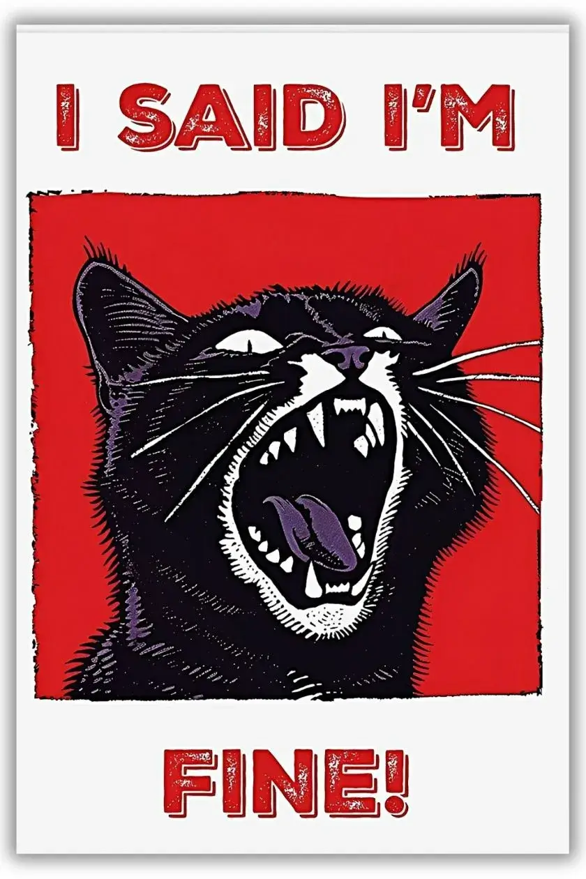 I Said Im Fine Metal Poster wall art in Pakistan